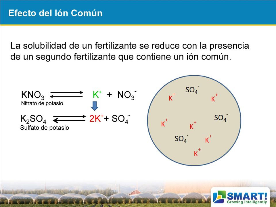 fertilizante que contiene un ión común.