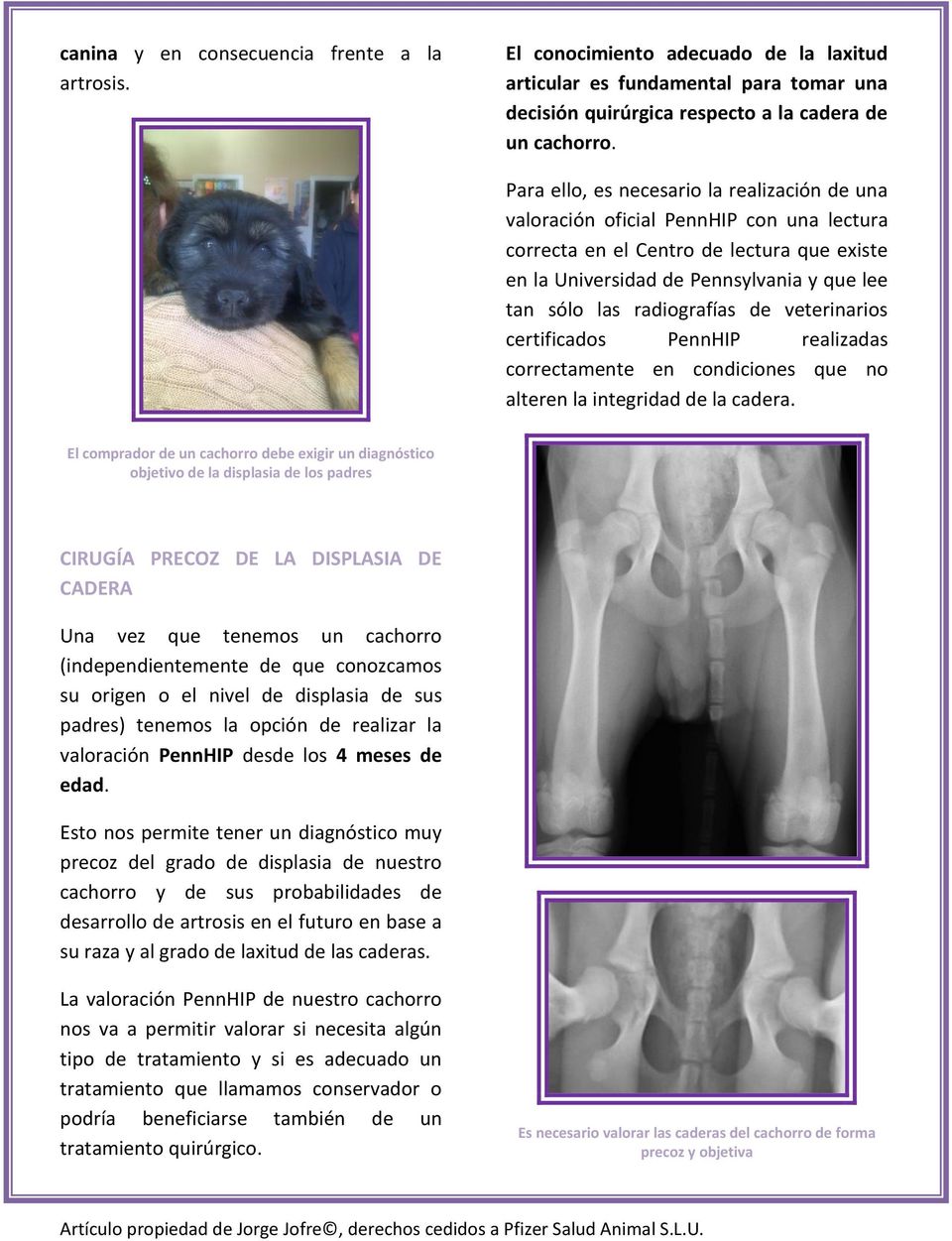 radiografías de veterinarios certificados PennHIP realizadas correctamente en condiciones que no alteren la integridad de la cadera.