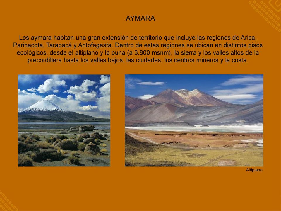 Dentro de estas regiones se ubican en distintos pisos ecológicos, desde el altiplano y la