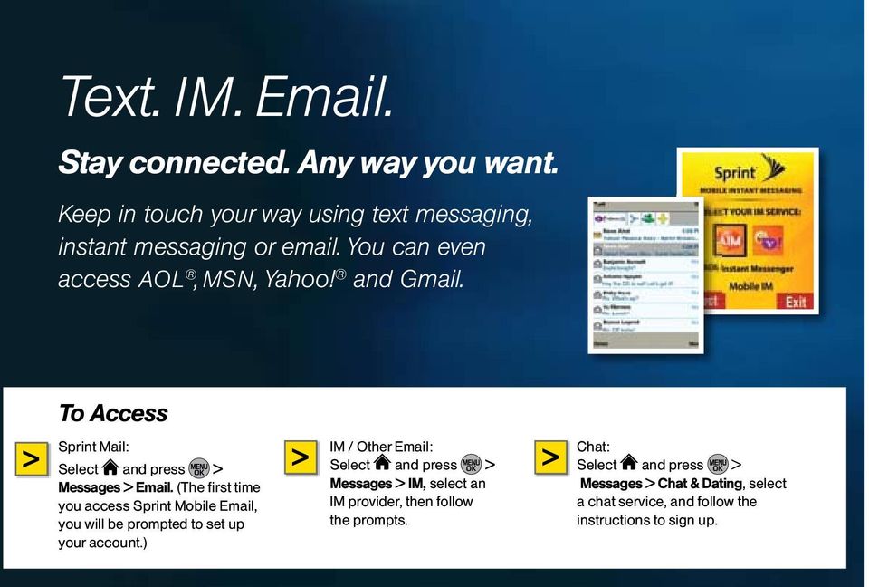 (The first time you access Sprint Mobile Email, you will be prompted to set up your account.