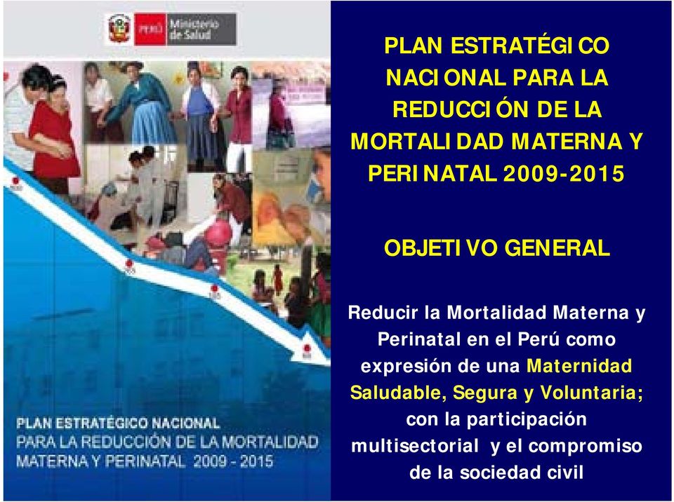 Perinatal en el Perú como expresión de una Maternidad Saludable, Segura y