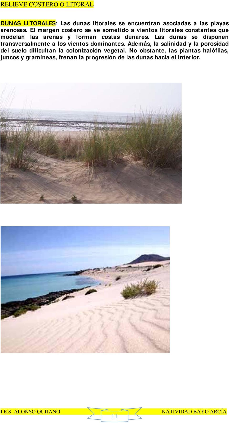 Las dunas se disponen transversalmente a los vientos dominantes.