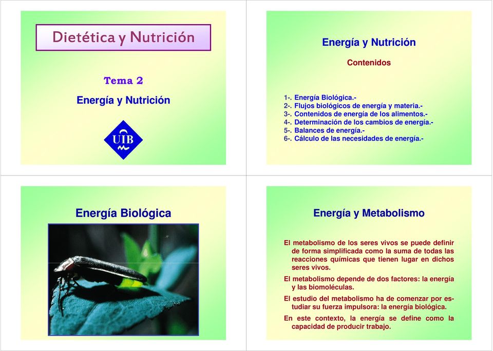 - Energía Biológica Energía y Metabolismo El metabolismo de los seres vivos se puede definir de forma simplificada como la suma de todas las reacciones químicas que tienen lugar en dichos