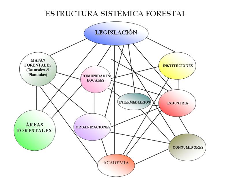 Política Publica Forestal Elementos Portadores de Porvenir Sector Forestal Colombiano C.C. C.B SISTEMA FORESTAL B. Natural Suelo R.