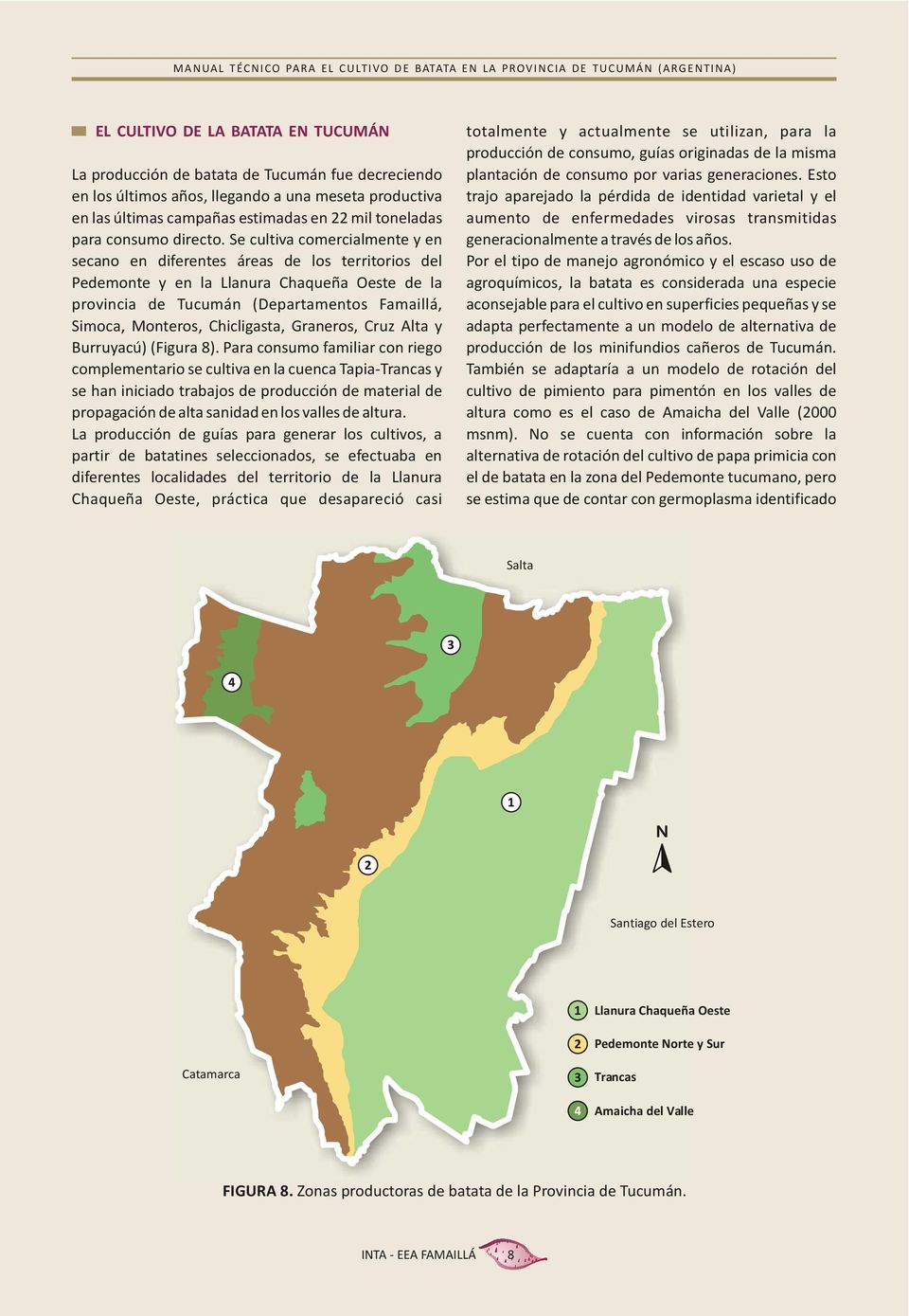 Se cultiva comercialmente y en secano en diferentes áreas de los territorios del Pedemonte y en la Llanura Chaqueña Oeste de la provincia de Tucumán (Departamentos Famaillá, Simoca, Monteros,
