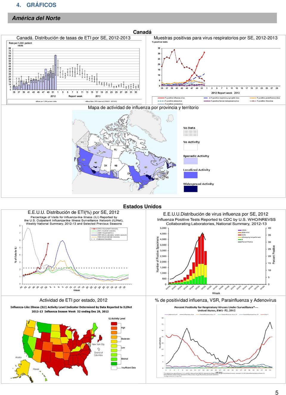 2012-2013 Mapa de actividad de influenza por provincia y territorio Estados Un
