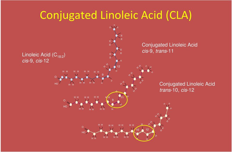 Linoleic Acid cis-9, trans-11 H H H Conjugated Linoleic Acid trans-10, cis-12 O H H H H H H H