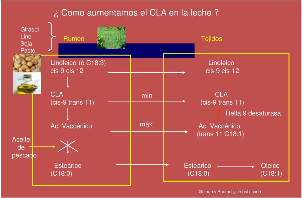 cis-9 cis-12 Aceite de pescado CLA mín CLA (cis-9 trans 11) (cis-9 trans 11) Ac.
