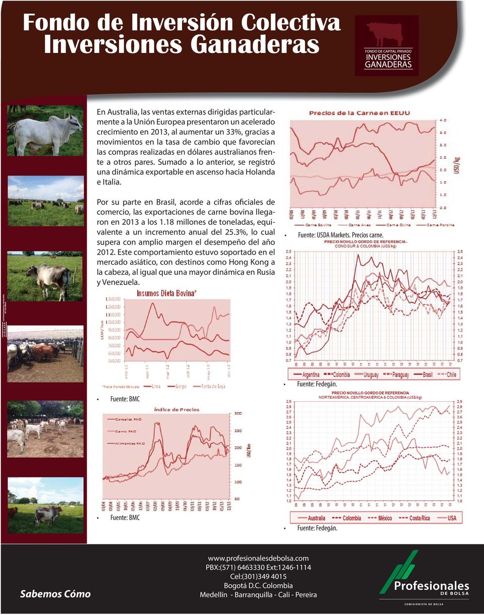 Por su parte en Brasil, acorde a cifras oficiales de comercio, las exportaciones de carne bovina llegaron en 2013 a los 1.18 millones de toneladas, equivalente a un incremento anual del 25.