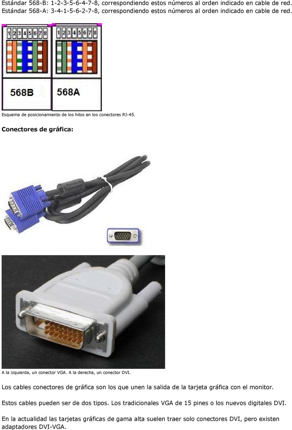 Conectores de gráfica: A la izquierda, un conector VGA. A la derecha, un conector DVI.