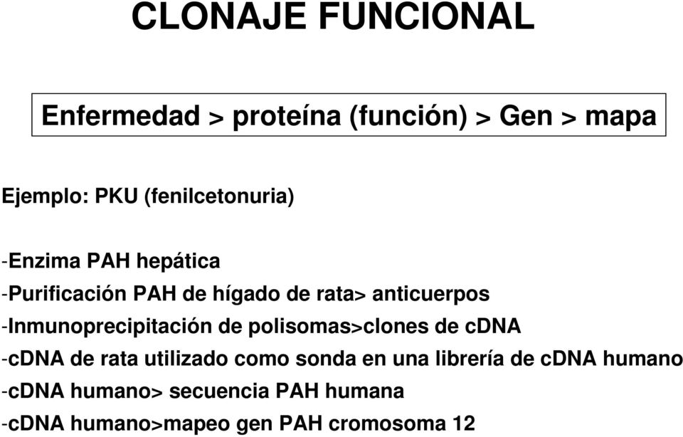 -Inmunoprecipitación de polisomas>clones de cdna -cdna de rata utilizado como sonda en