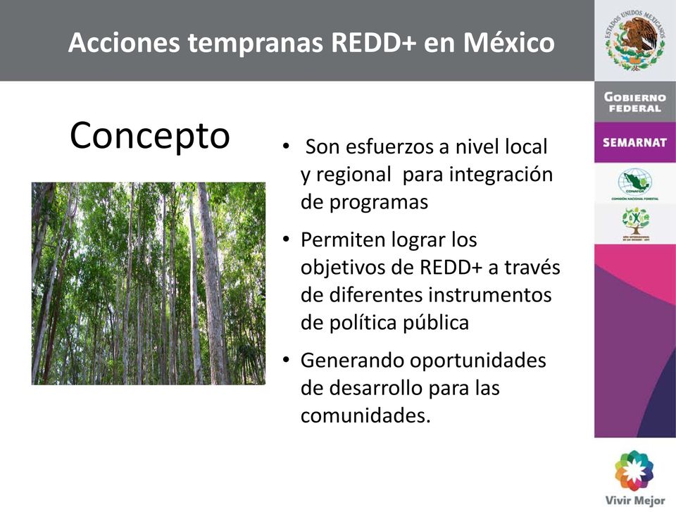 objetivos de REDD+ a través de diferentes instrumentos de política