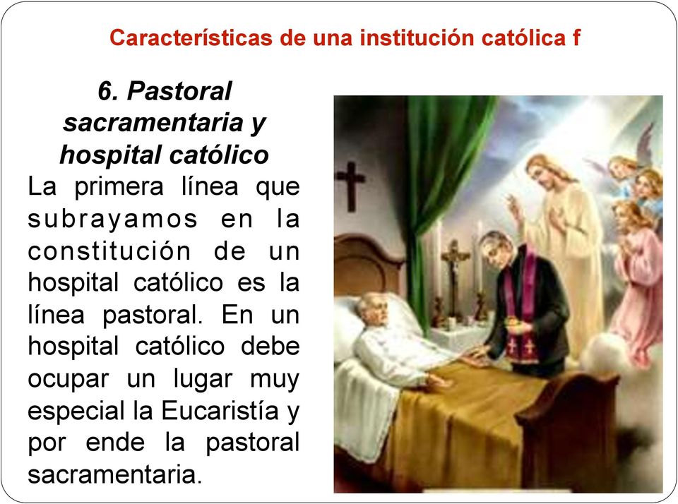 en la constitución de un hospital católico es la línea pastoral.