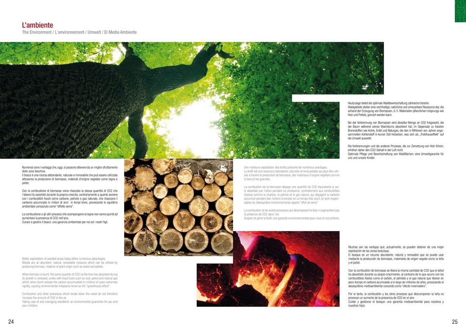 Materialien pflanzlichen Ursprungs wie Holz und Pellets, genutzt werden kann.
