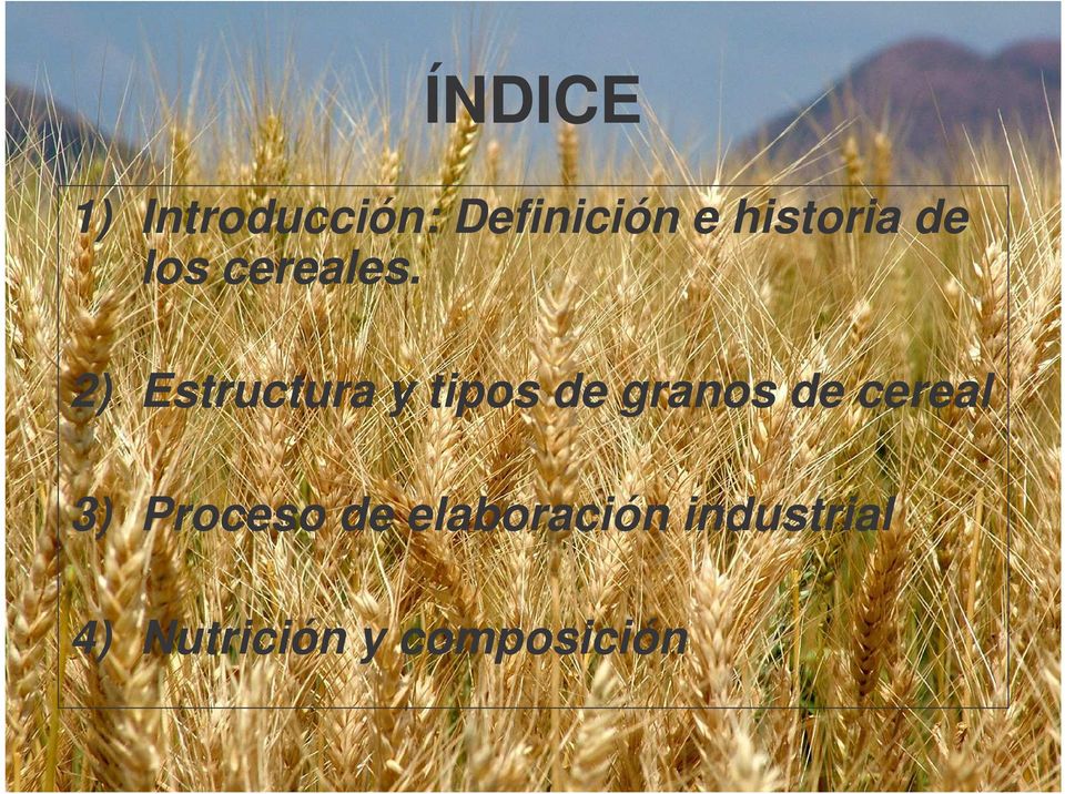 2) Estructura y tipos de granos de cereal