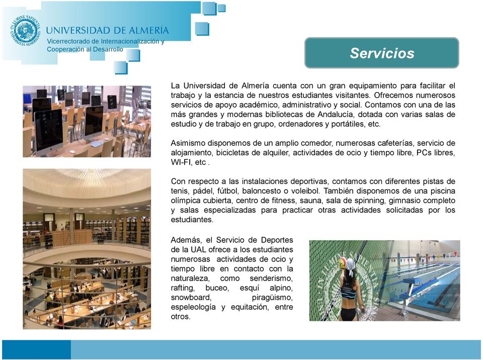 Contamos con una de las más grandes y modernas bibliotecas de Andalucía, dotada con varias salas de estudio y de trabajo en grupo, ordenadores y portátiles, etc.