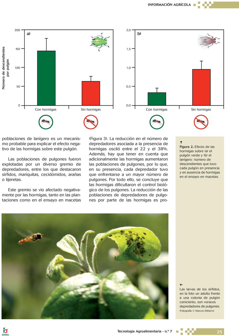 Este gremio se vio afectado negativamente por las hormigas, tanto en las plantaciones como en el ensayo en macetas (Figura 3).
