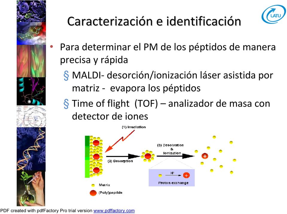 MALDI-desorción/ionización láser asistida por matriz -