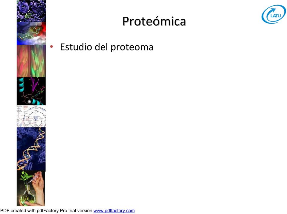 proteoma