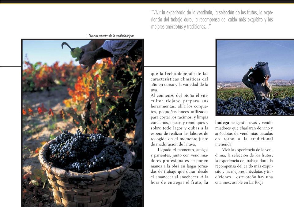 Al comienzo del otoño el viticultor riojano prepara sus herramientas: afila los corquetes, pequeñas hoces utilizadas para cortar los racimos, y limpia cunachos, cestos y remolques y sobre todo lagos