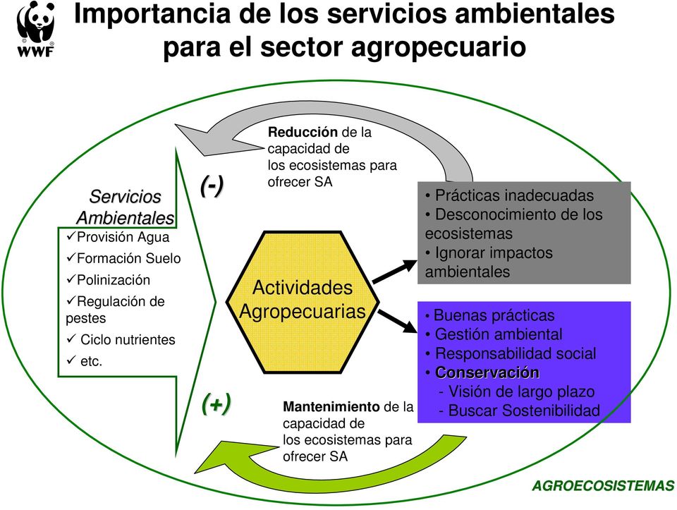 (-) (+) Reducción de la capacidad de los ecosistemas para ofrecer SA Actividades Agropecuarias Mantenimiento de la capacidad de los