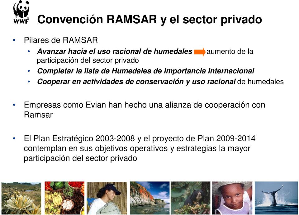 conservación y uso racional de humedales Empresas como Evian han hecho una alianza de cooperación con Ramsar El Plan