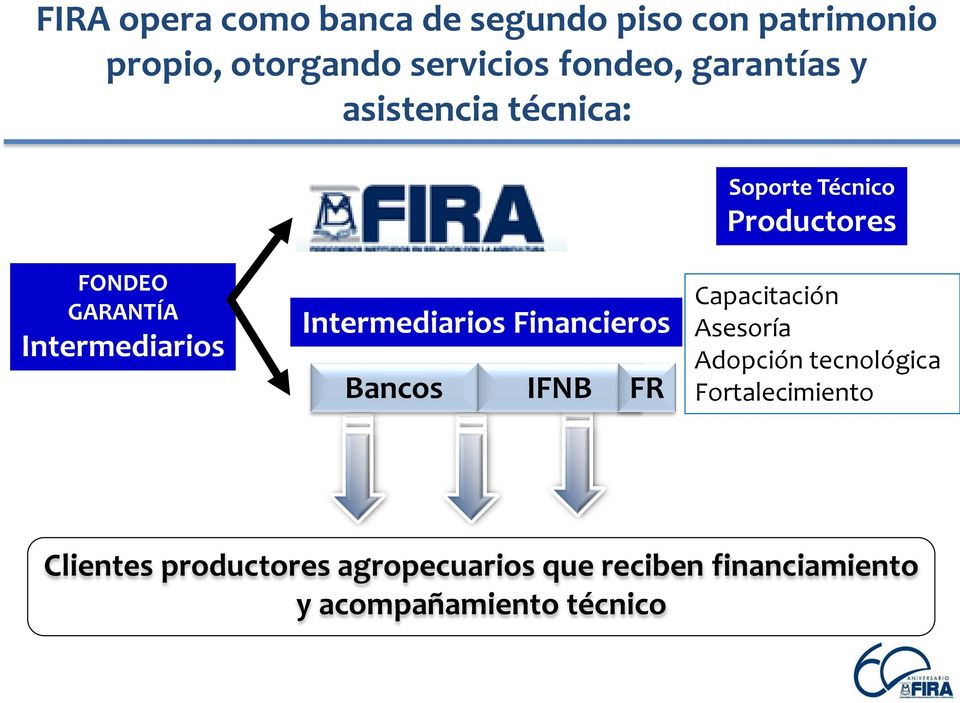 Intermediarios Financieros Bancos IFNB FR Capacitación Asesoría Adopción tecnológica