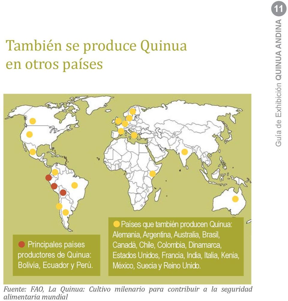 Países que también producen Quinua: Alemania, Argentina, Australia, Brasil, Canadá, Chile,