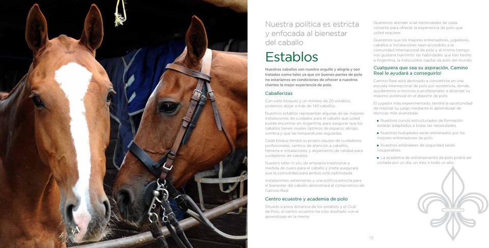 Nuestros establos representan algunas de las mejores instalaciones de cuidados para el caballo que usted puede encontrar en Argentina, para asegurar que los caballos tienen niveles óptimos de