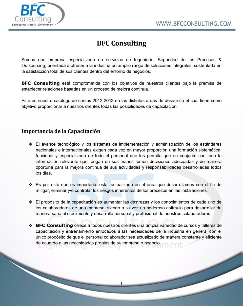 BFC Consulting está comprometida con los objetivos de nuestros clientes bajo la premisa de establecer relaciones basadas en un proceso de mejora continua.