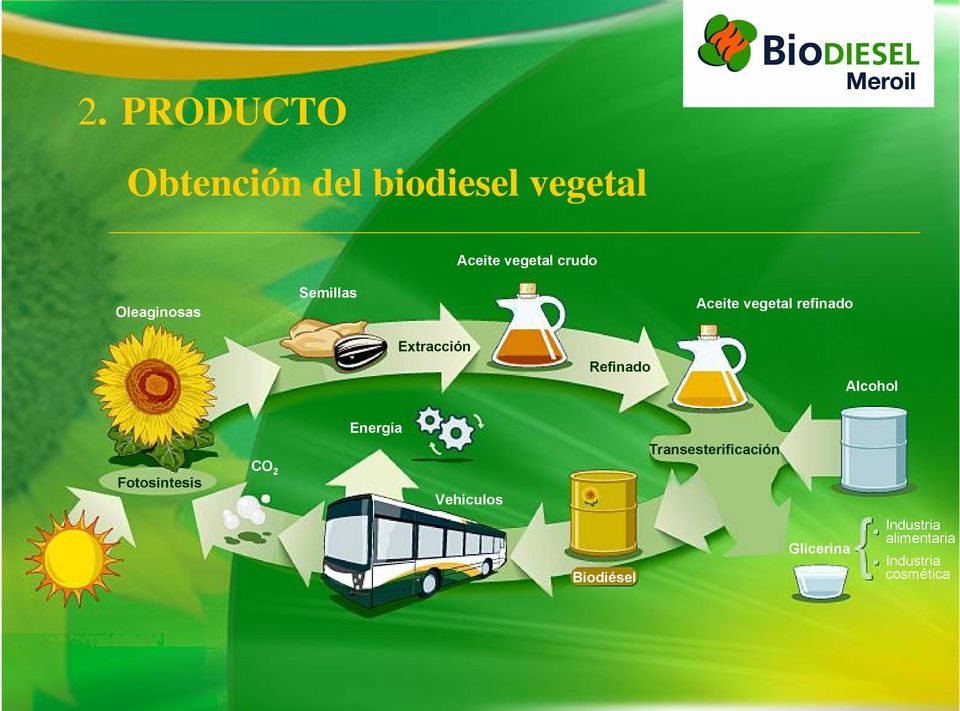 Refinado Alcohol Fotosíntesis CO 2 Energía Vehículos Biodiésel