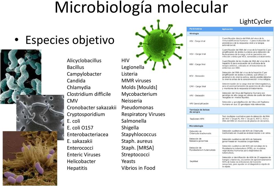 sakazakii Enterococci Enteric Viruses Helicobacter Hepatitis HIV Legionella Listeria MMR viruses Molds [Moulds]
