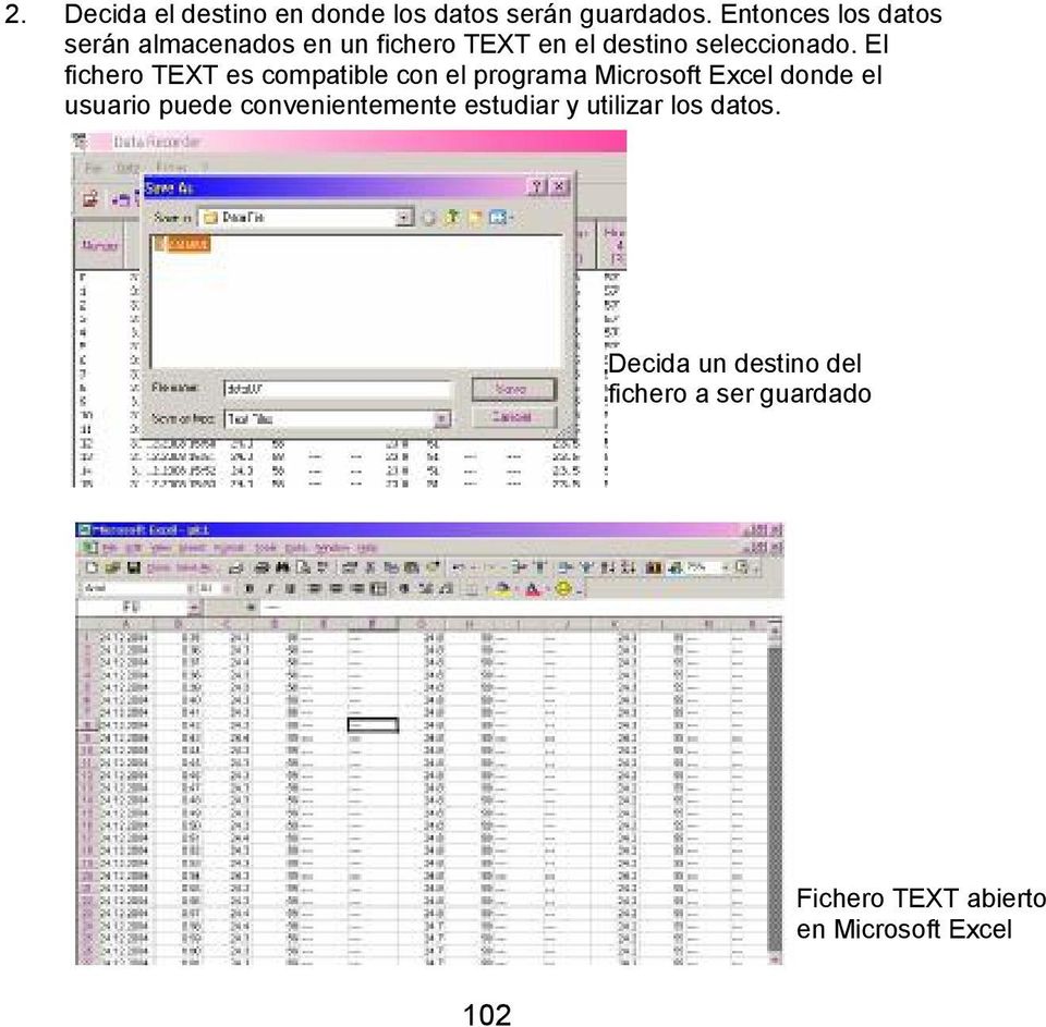 El fichero TEXT es compatible con el programa Microsoft Excel donde el usuario puede