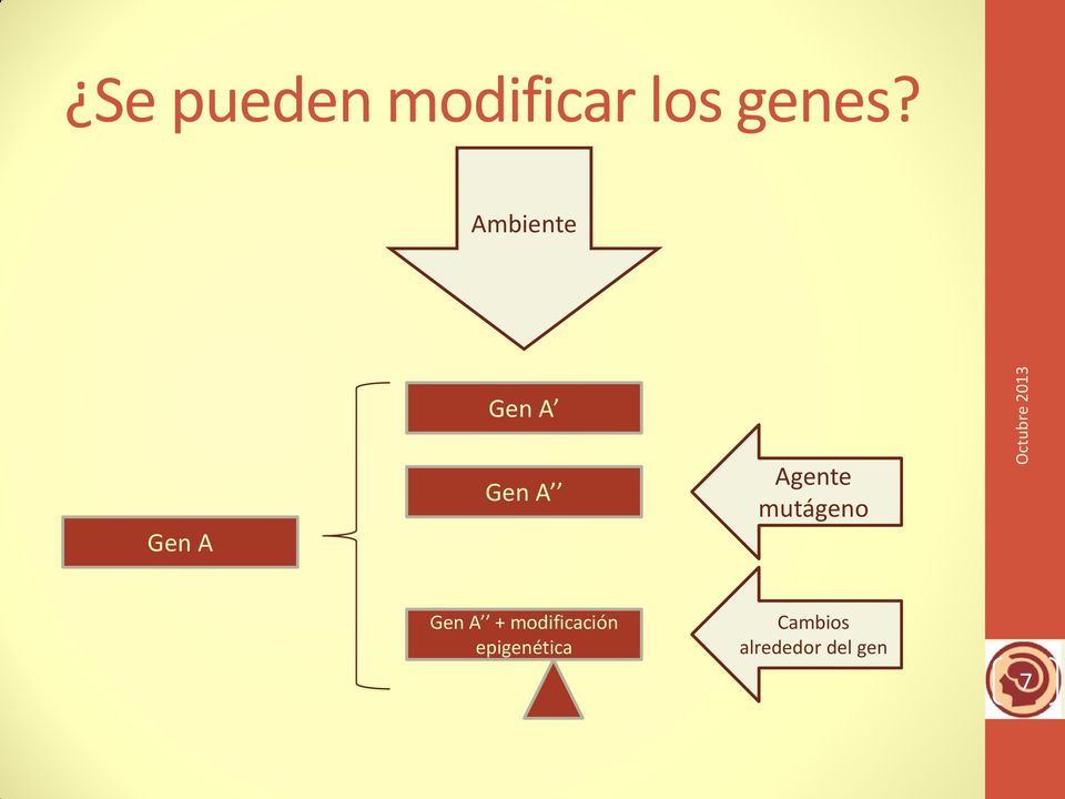 mutágeno Gen A + modificación