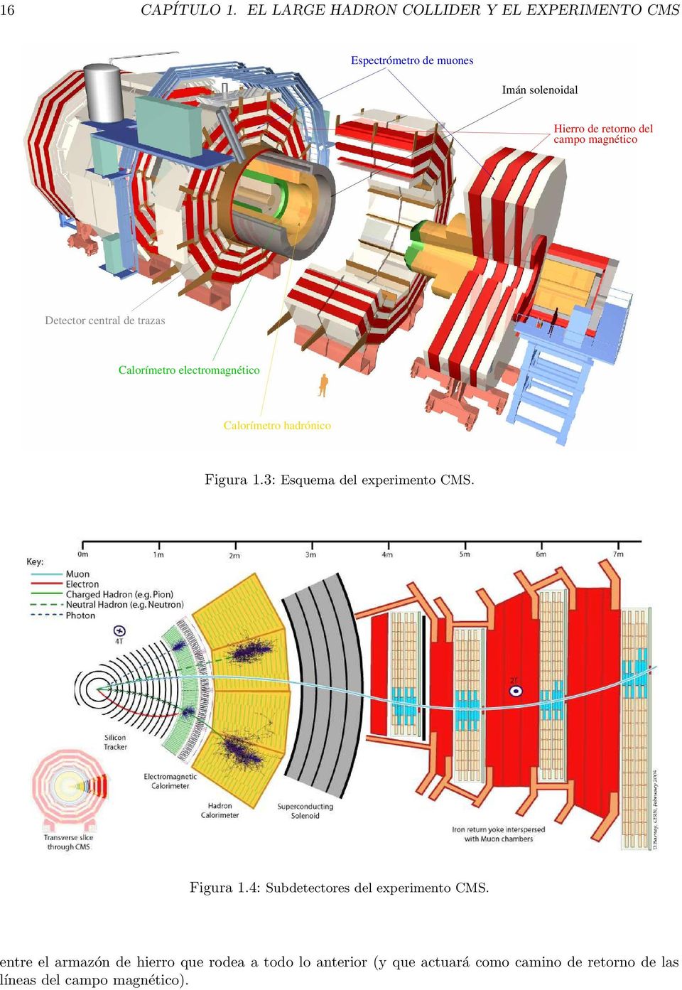 campo magnético Detector central de trazas Calorímetro electromagnético Calorímetro hadrónico Figura 1.