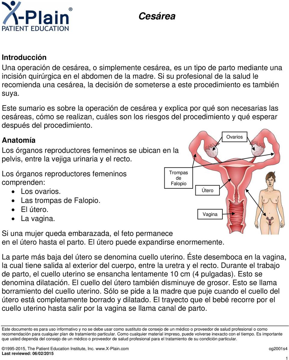 Este sumario es sobre la operación de cesárea y explica por qué son necesarias las cesáreas, cómo se realizan, cuáles son los riesgos del procedimiento y qué esperar después del procedimiento.