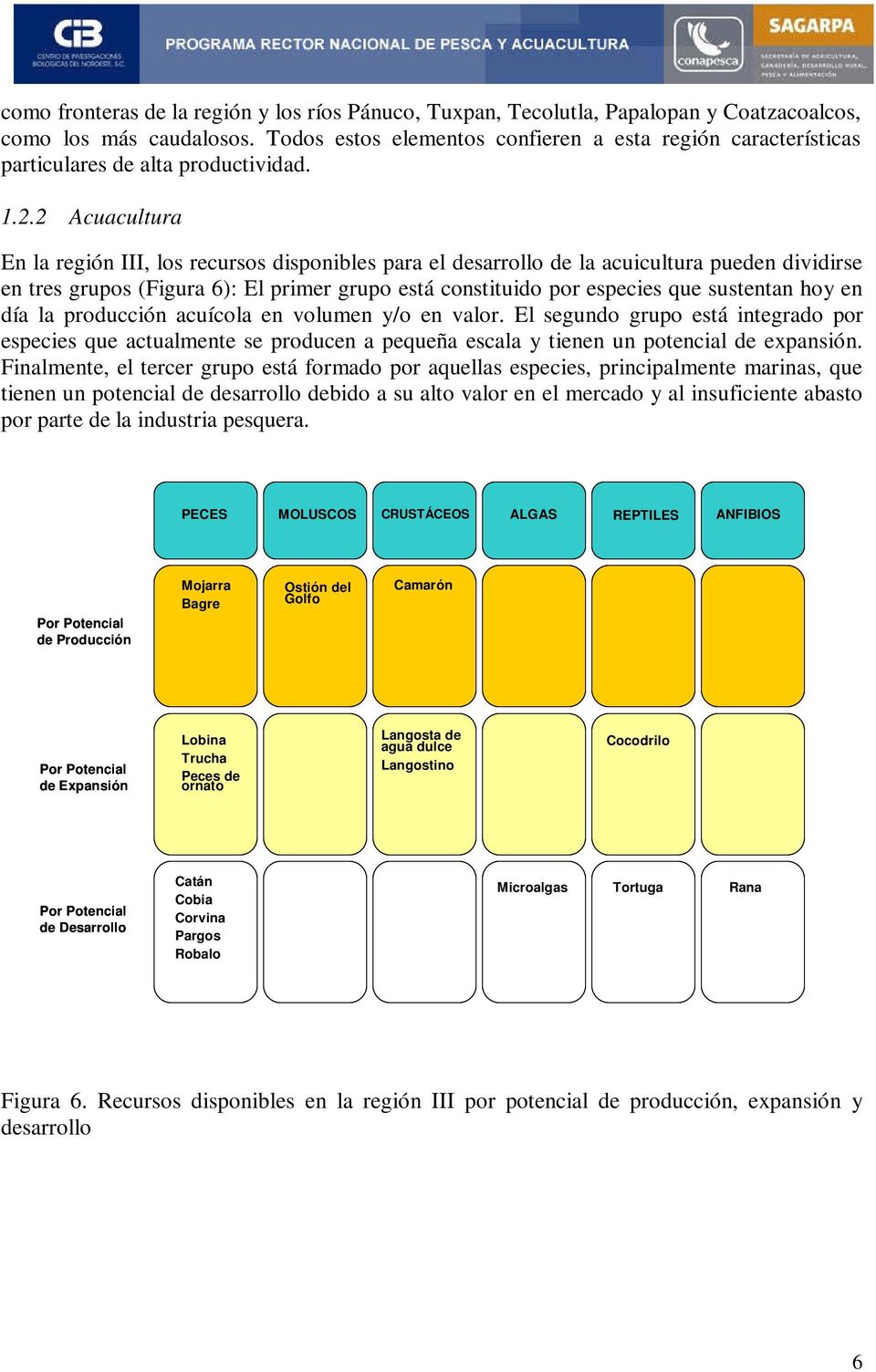 2 Acuacultura En la región III, los recursos disponibles para el desarrollo de la acuicultura pueden dividirse en tres grupos (Figura 6): El primer grupo está constituido por especies que sustentan