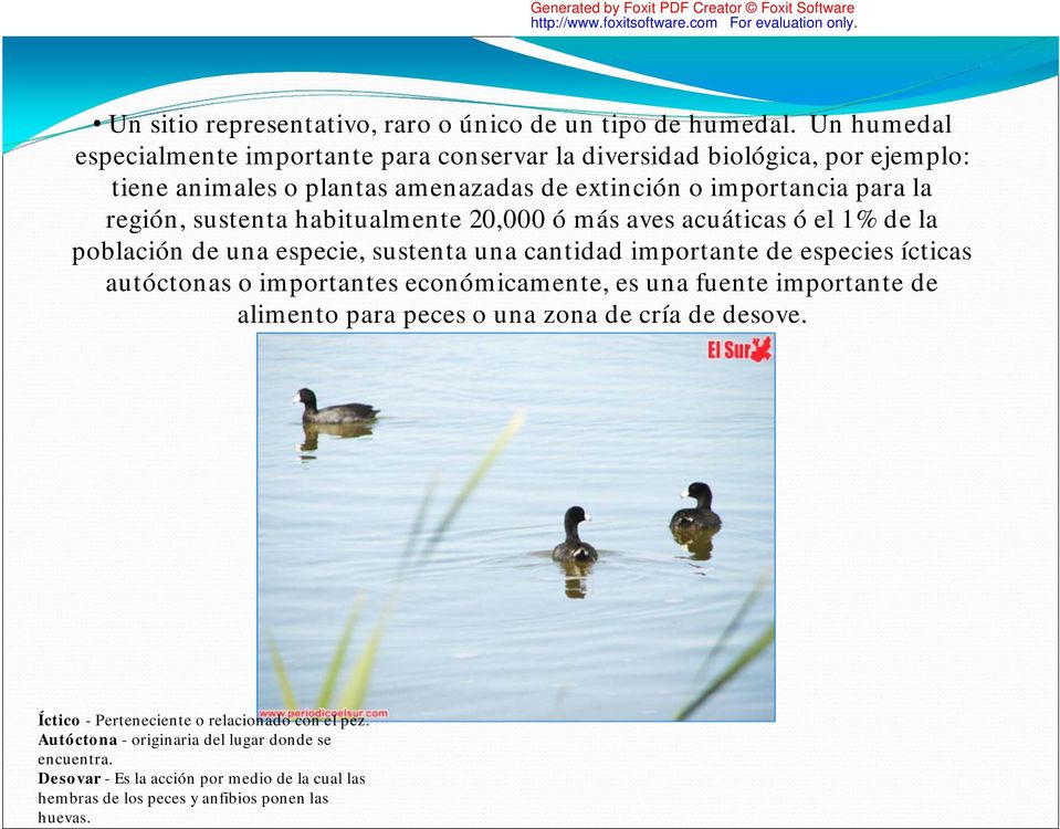sustenta habitualmente 20,000 ó más aves acuáticas ó el 1 % de la población de una especie, sustenta una cantidad importante de especies ícticas autóctonas o importantes