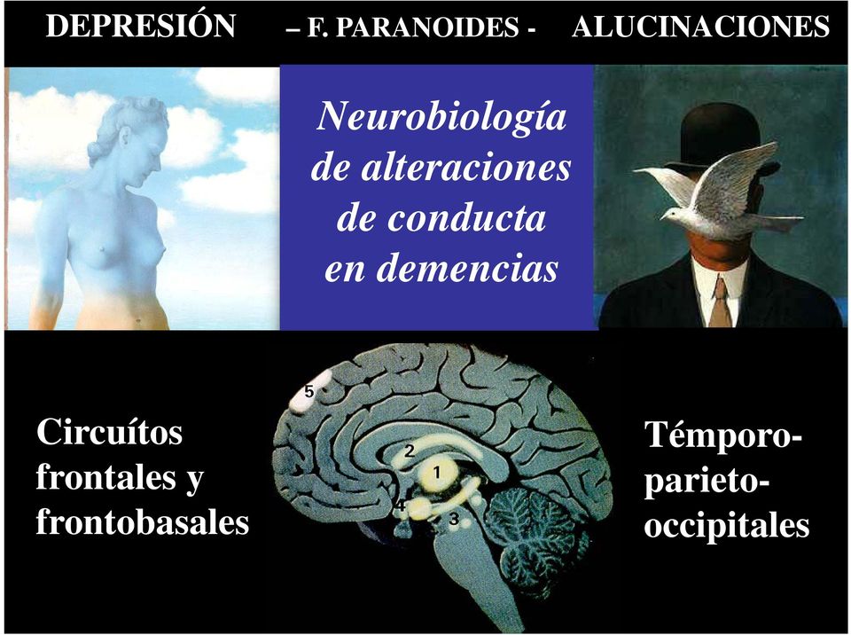 Neurobiología de alteraciones de