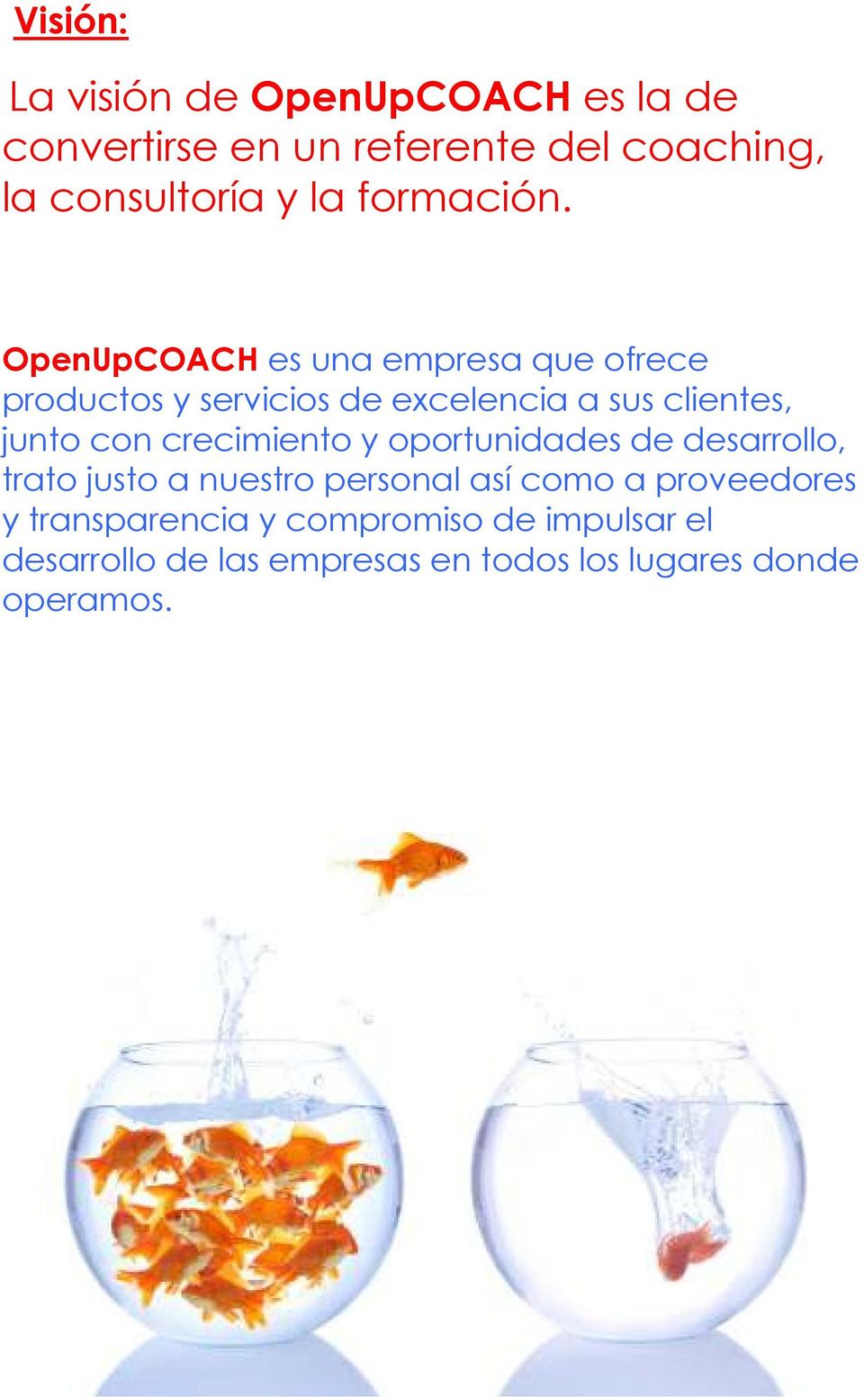 OpenUpCOACH es una empresa que ofrece productos y servicios de excelencia a sus clientes, junto con