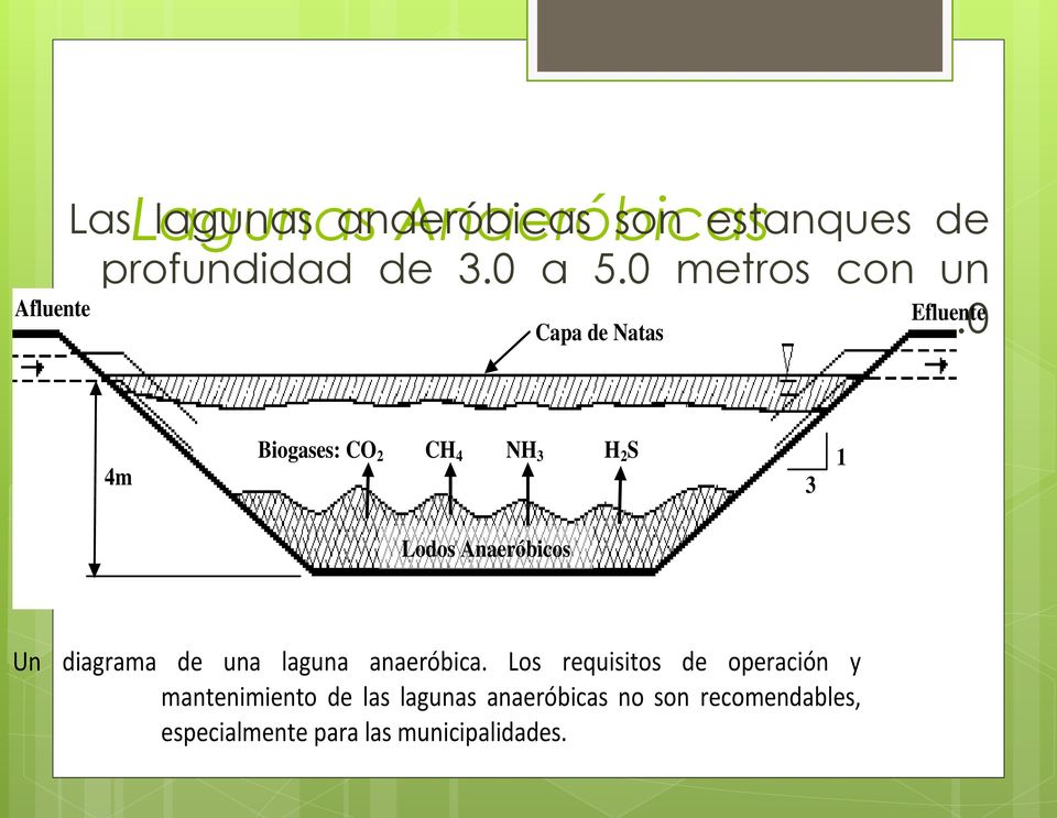 4m Biogases: CO 2 CH 4 NH 3 H 2 S 3 1 Lodos Anaeróbicos Un diagrama de una laguna anaeróbica.