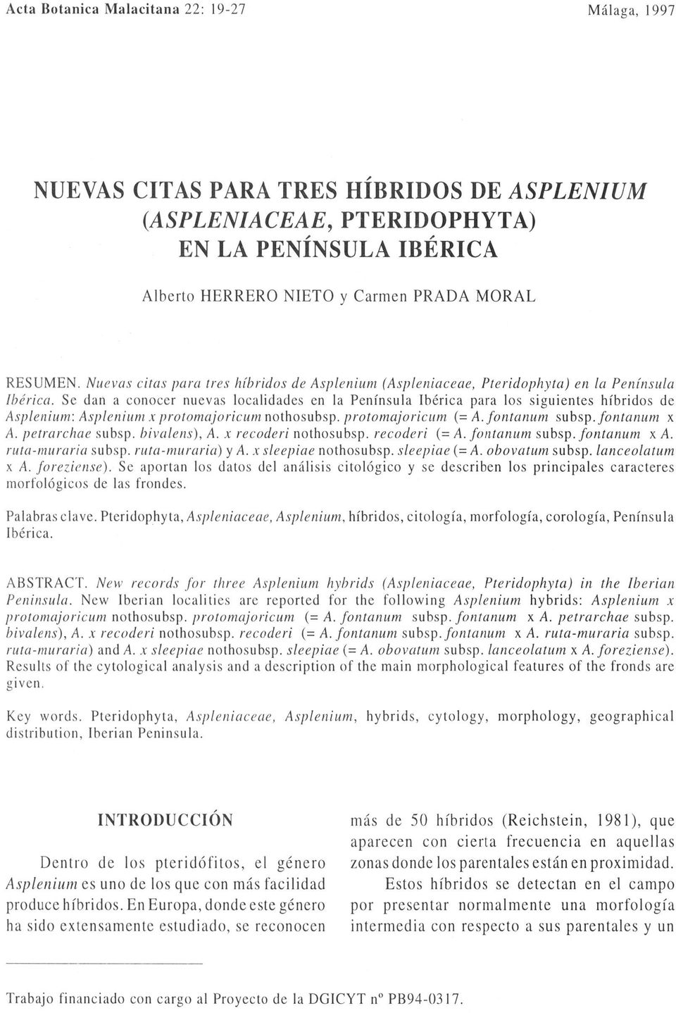 Sc dan a conocer nuevas localidades en la Península Ibérica para los siguientes híbridos de Asplenium: Asplenium x protomajoricum nothosubsp. protomajoricum (= A. fontanum subsp.fontanum x A.