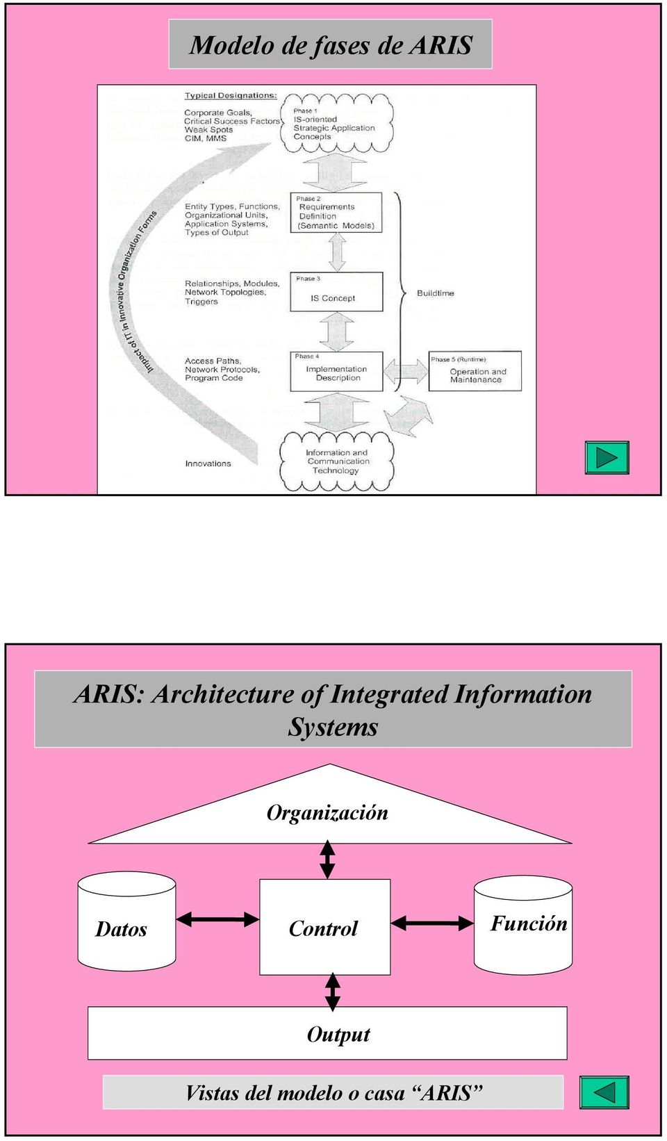 Information Systems Organización
