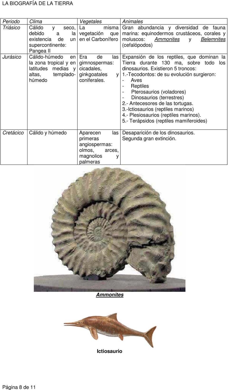 y Gran abundancia y diversidad de fauna marina: equinodermos crustáceos, corales y moluscos: Ammonites y Belemnites (cefalópodos) Expansión de los reptiles, que dominan la Tierra durante 130 ma,