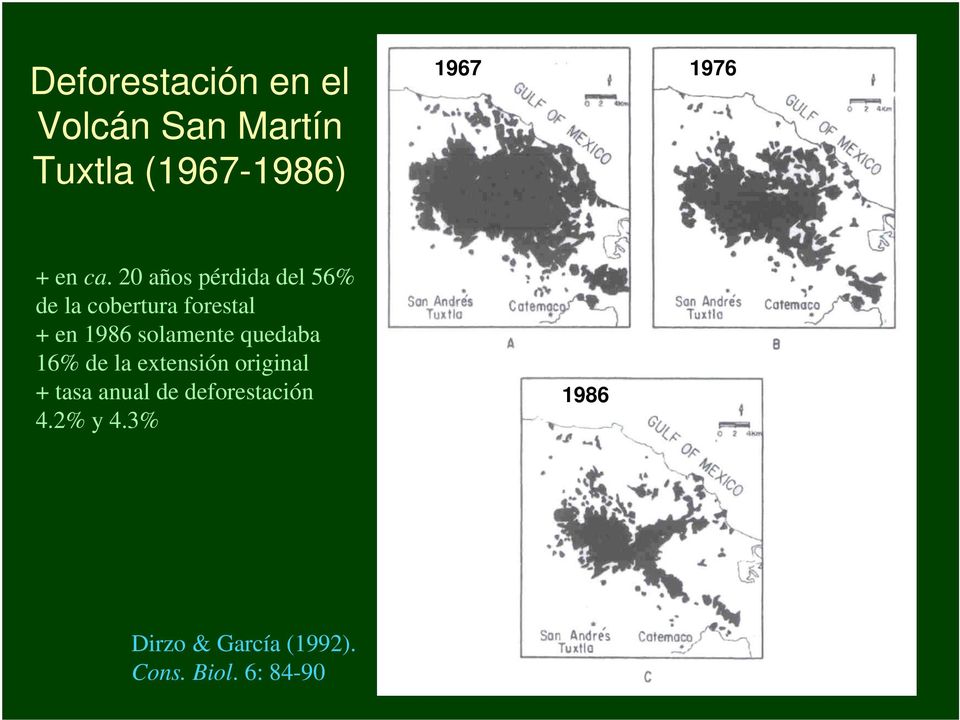 20 años pérdida del 56% de la cobertura forestal + en 1986