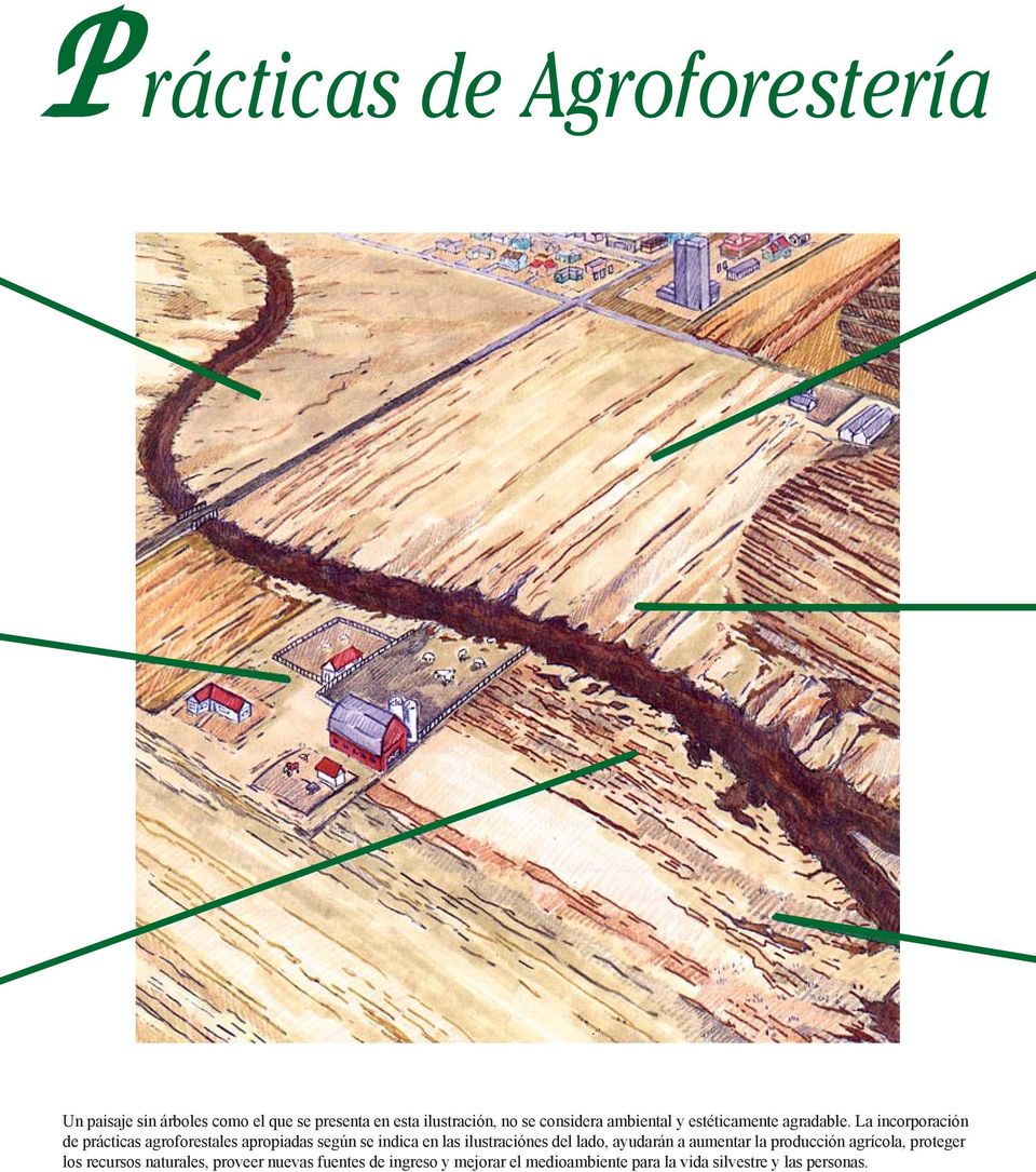 La incorporación de prácticas agroforestales apropiadas según se indica en las ilustraciónes del lado,