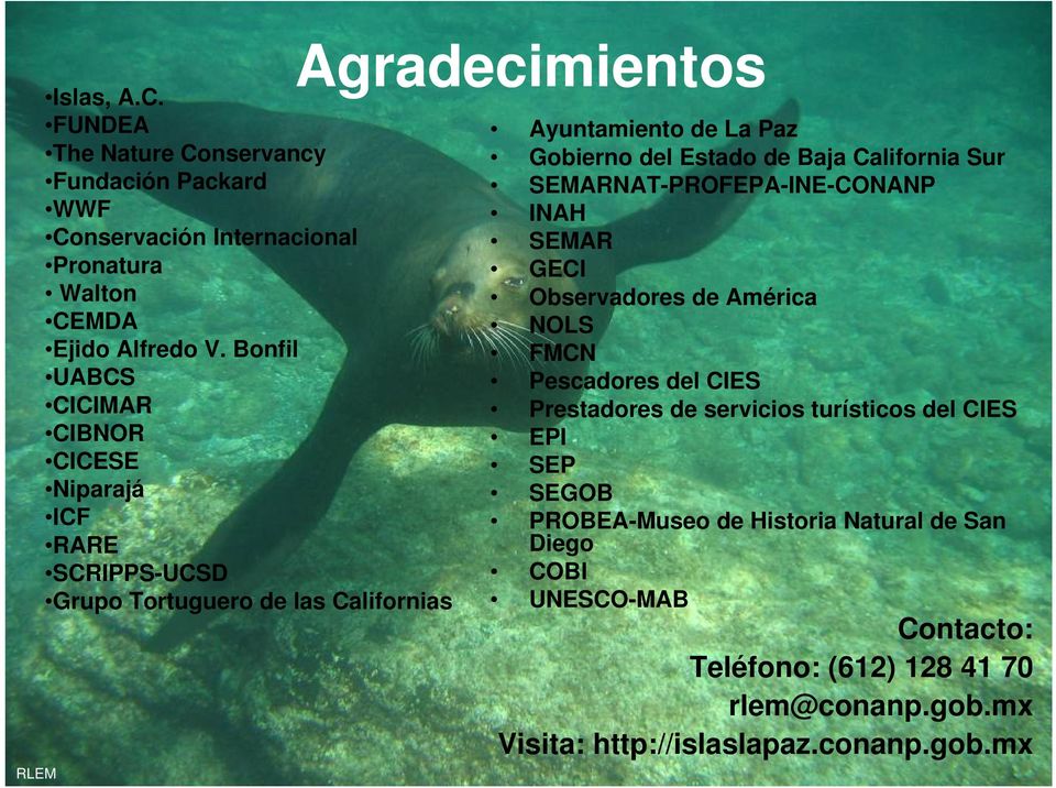 Estado de Baja California Sur SEMARNAT-PROFEPA-INE-CONANP INAH SEMAR GECI Observadores de América NOLS FMCN Pescadores del CIES Prestadores de servicios