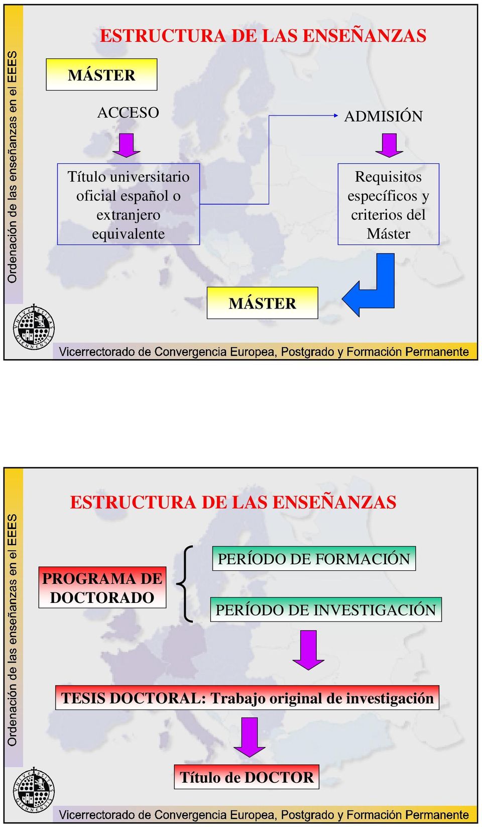 MÁSTER ESTRUCTURA DE LAS ENSEÑANZAS PROGRAMA DE DOCTORADO PERÍODO DE FORMACIÓN