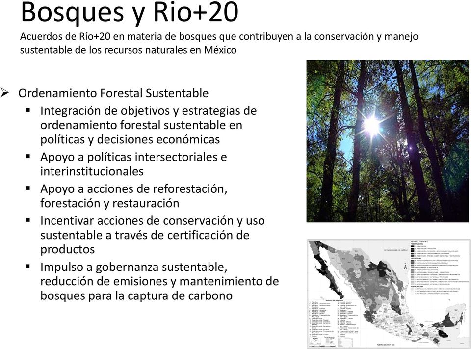 políticas intersectoriales e interinstitucionales Apoyo a acciones de reforestación, forestación y restauración Incentivar acciones de conservación y uso