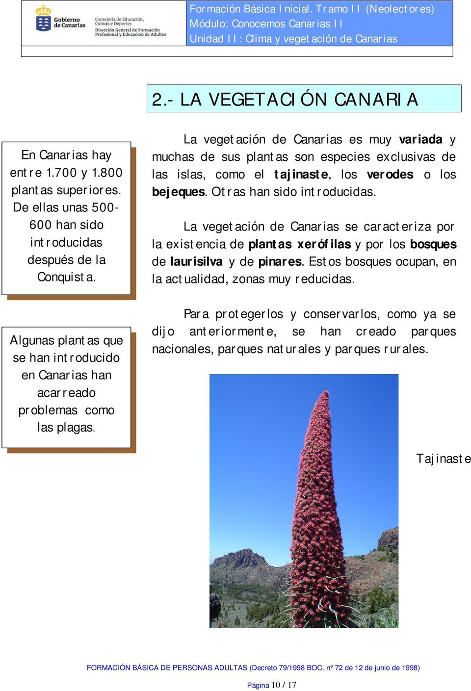 La vegetación de Canarias es muy variada y muchas de sus plantas son especies exclusivas de las islas, como el tajinaste, los verodes o los bejeques. Otras han sido introducidas.